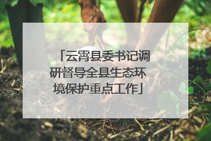 云霄县委书记调研督导全县生态环境保护重点工作