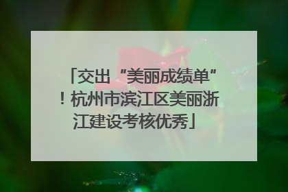 交出“美丽成绩单”！杭州市滨江区美丽浙江建设考核优秀