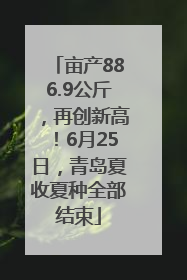 亩产886.9公斤，再创新高！6月25日，青岛夏收夏种全部结束