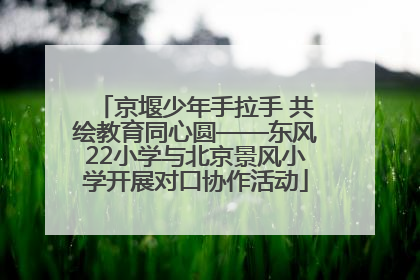 京堰少年手拉手 共绘教育同心圆——东风22小学与北京景风小学开展对口协作活动