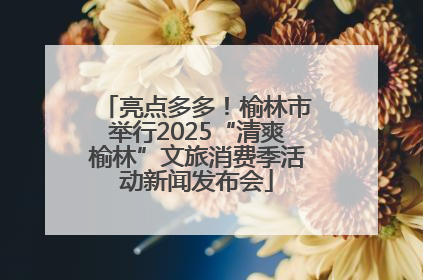 亮点多多！榆林市举行2025“清爽榆林”文旅消费季活动新闻发布会