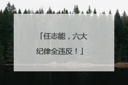 任志能，六大纪律全违反！