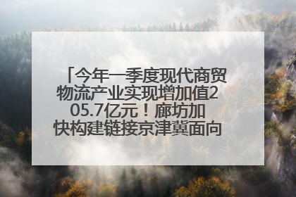 今年一季度现代商贸物流产业实现增加值205.7亿元！廊坊加快构建链接京津冀面向全世界的物流通道