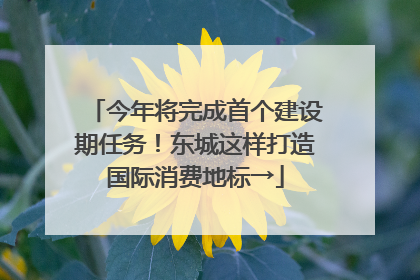 今年将完成首个建设期任务！东城这样打造国际消费地标→