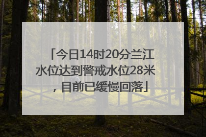 今日14时20分兰江水位达到警戒水位28米，目前已缓慢回落