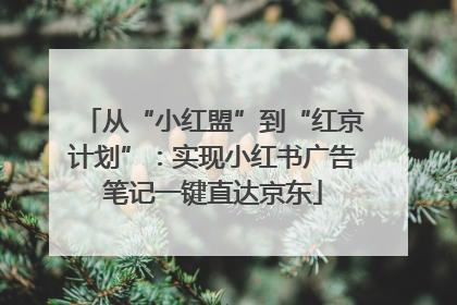 从“小红盟”到“红京计划”：实现小红书广告笔记一键直达京东