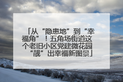 从“隐患地”到“幸福角”！五角场街道这个老旧小区党建微花园“靓”出幸福新图景