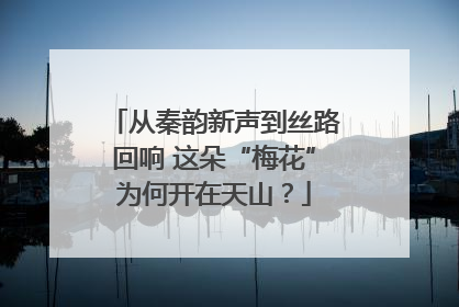 从秦韵新声到丝路回响 这朵“梅花”为何开在天山？