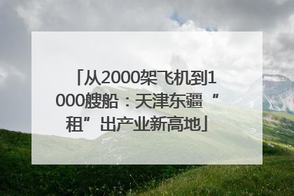 从2000架飞机到1000艘船：天津东疆“租”出产业新高地