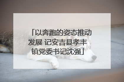 以奔跑的姿态推动发展 记安吉县孝丰镇党委书记沈强