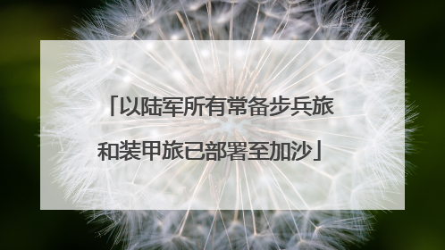 以陆军所有常备步兵旅和装甲旅已部署至加沙