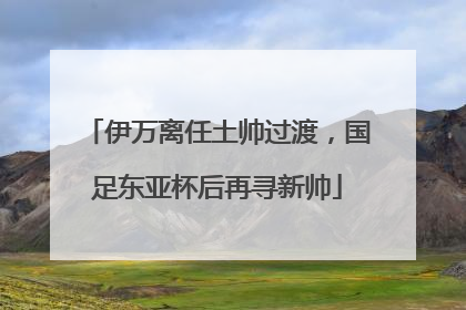 伊万离任土帅过渡，国足东亚杯后再寻新帅