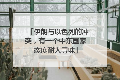 伊朗与以色列的冲突，有一个中东国家态度耐人寻味