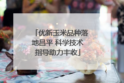 优新玉米品种落地昌平 科学技术指导助力丰收