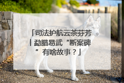 司法护航云茶芬芳丨勐腊易武“断案碑”有啥故事？
