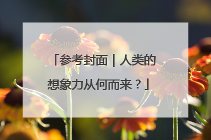 参考封面｜人类的想象力从何而来？