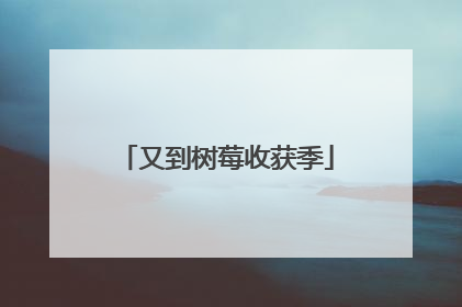 又到树莓收获季