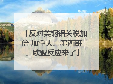 反对美钢铝关税加倍 加拿大、墨西哥、欧盟反应来了