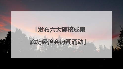 发布六大硬核成果 廊坊经洽会热潮涌动