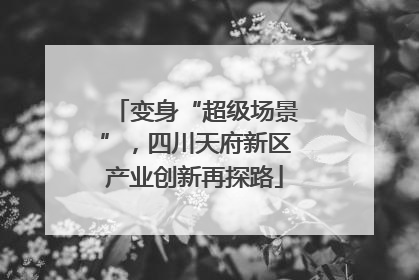 变身“超级场景”，四川天府新区产业创新再探路