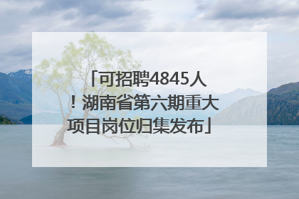 可招聘4845人！湖南省第六期重大项目岗位归集发布