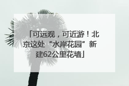 可远观，可近游！北京这处“水岸花园”新建62公里花墙