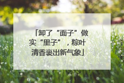 卸了“面子”做实“里子”，粽叶清香裹出新气象