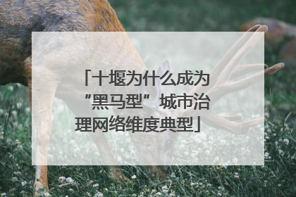 十堰为什么成为“黑马型”城市治理网络维度典型