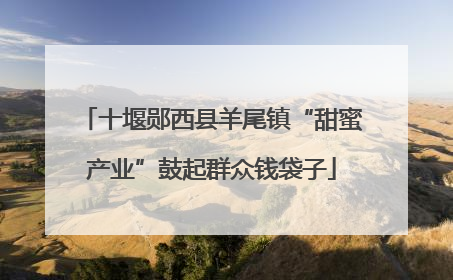 十堰郧西县羊尾镇“甜蜜产业”鼓起群众钱袋子