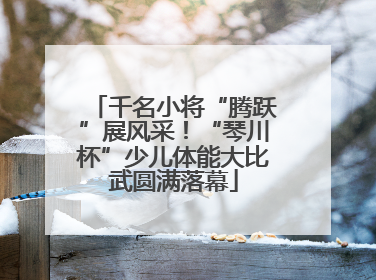 千名小将“腾跃”展风采！“琴川杯”少儿体能大比武圆满落幕
