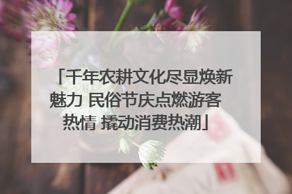 千年农耕文化尽显焕新魅力 民俗节庆点燃游客热情 撬动消费热潮