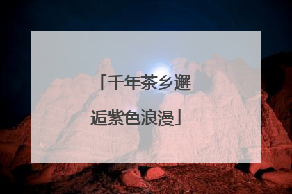 千年茶乡邂逅紫色浪漫