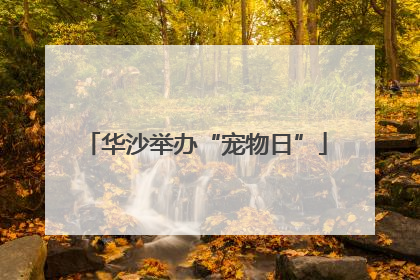 华沙举办“宠物日”