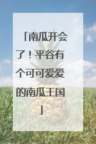南瓜开会了！平谷有个可可爱爱的南瓜王国