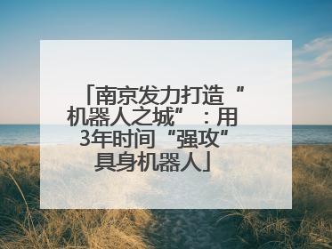 南京发力打造“机器人之城”：用3年时间“强攻”具身机器人