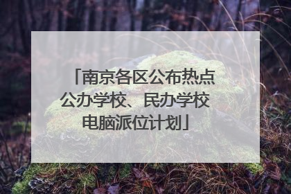 南京各区公布热点公办学校、民办学校电脑派位计划