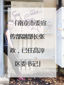 南京市委宣传部副部长张政，已任高淳区委书记
