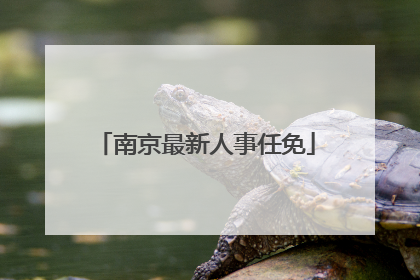 南京最新人事任免