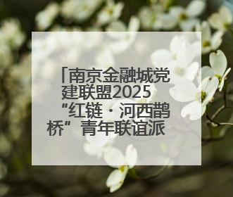 南京金融城党建联盟2025“红链・河西鹊桥”青年联谊派对甜蜜举办