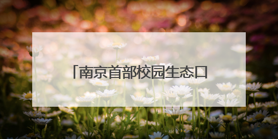 南京首部校园生态口袋书《发现身边的自然——南京校园野生动物观察手册》首发