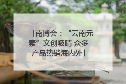 南博会：“云南元素”文创吸睛 众多产品热销海内外