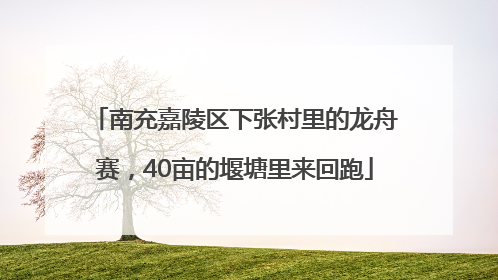 南充嘉陵区下张村里的龙舟赛，40亩的堰塘里来回跑