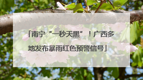 南宁“一秒天黑”！广西多地发布暴雨红色预警信号