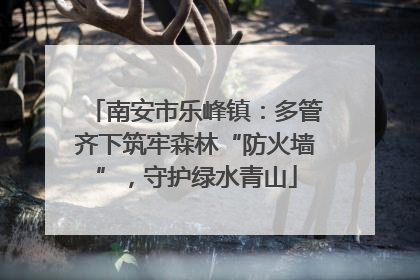 南安市乐峰镇：多管齐下筑牢森林“防火墙”，守护绿水青山