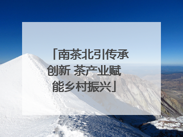 南茶北引传承创新 茶产业赋能乡村振兴