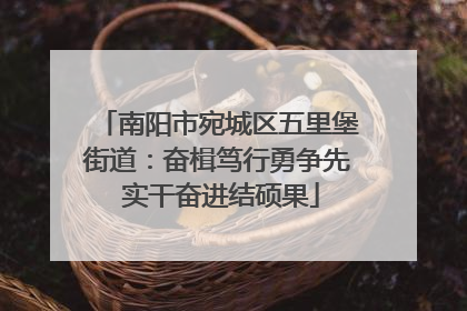 南阳市宛城区五里堡街道：奋楫笃行勇争先 实干奋进结硕果