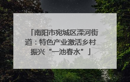 南阳市宛城区溧河街道：特色产业激活乡村振兴“一池春水”