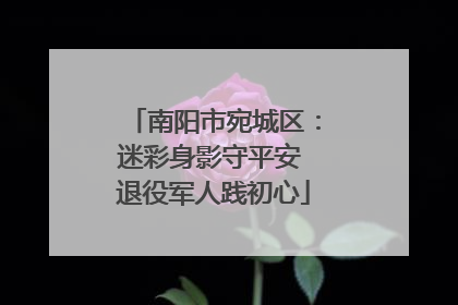 南阳市宛城区：迷彩身影守平安 退役军人践初心