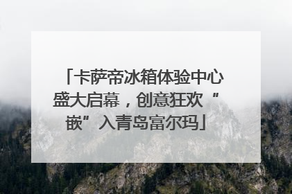 卡萨帝冰箱体验中心盛大启幕，创意狂欢“嵌”入青岛富尔玛