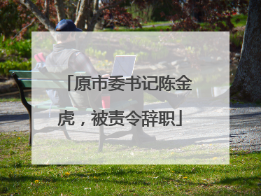 原市委书记陈金虎，被责令辞职